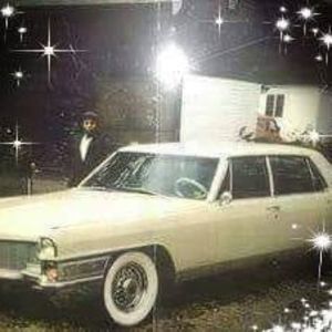 Meet your Posher, Dwight